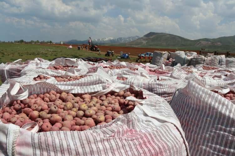 <p>Özellikle son yıllarda organize sanayi bölgesinin de (OSB) kurulmasıyla atılım gösteren Bitlis’te, sadece tekstil alanında 10 bine yakın istihdam sağlandı. Tekstilin yanı sıra Van Gölü Havzası’nda yer alan Tatvan, Ahlat ve Adilcevaz’da da yetiştirilen patates, domates, fasulye ve meyve üretiminde de Bitlis ihracatta söz sahibi oldu.</p>
