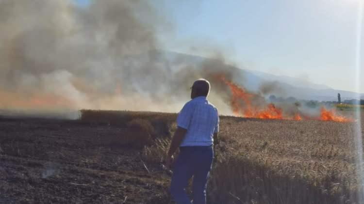 <p>Bursa'nın İnegöl ilçesinde 50 dönüm ekili buğday tarlasında yangın çıktı. İtfaiye ekiplerinin müdahalesiyle çevredeki tarlalara sıçramadan söndürülen yangın sonucu tarlanın büyük kısmında zarar oluştu.</p>