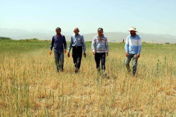 <p><strong>'LARVA DÖNEMİ İLAÇLAMASI SONUÇ VERİYOR'</strong></p>
<p>Ziraat Mühendisi Rıdvan Yiğit, ilaçlama çalışması için geç kalındığını, 20 seneyi aşkın süredir ilçede ve bazı köylerde çekirge istilasıyla mücadele edildiğini, bazı yıllarda daha fazla görüldüğünü belirtti.</p>
