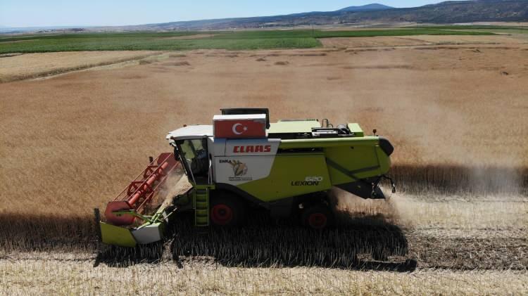 <p>Biyodizel ve bitkisel yağ başta olmak üzere pek çok farklı ürünün yapımında kullanılabilen kanola, Eskişehir’deki çiftçinin de yeni umudu oldu.</p>