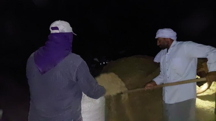 <p>Diyarbakır'da yaz aylarının bunaltıcı sıcak havalarından korunmak için gece zifiri karanlıkta ay ışığında çalışan işçiler, sıcak havada bu işi yapmanın 2 kat daha zor olduğunu, bu nedenle gece saatlerinde ayın ışıltısı ve el fenerleri yardımıyla gündüz sıcağına nazaran gece serinliğinde daha rahat çalıştıklarını ifade ettiler.</p>