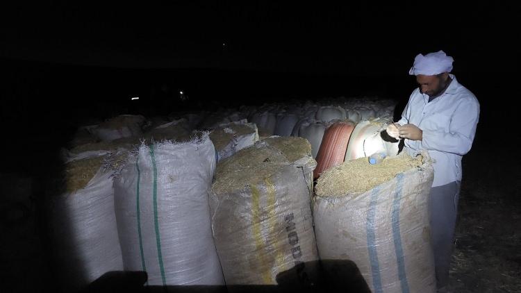 <p>"KÖR EDİYOR"</p>
<p>Saman işçisi Emrah Dağ İhlas Haber Ajansı Muhabirine yaptığı açıklamada, "Saman işçiliği için şanlıurfa'dan Diyarbakır'a geliyoruz. Gündüz sıcak olduğu için daha çok gece saatlerinde çalışıyoruz.</p>