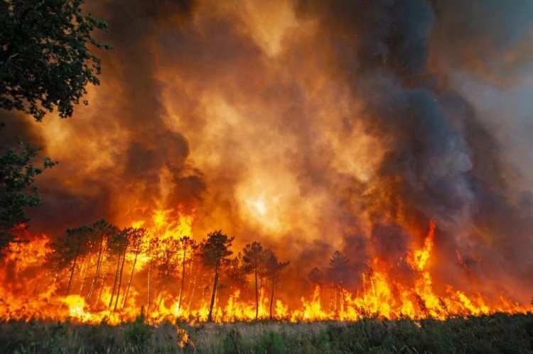 <p>Fransa’nın güneybatısındaki Gironde bölgesinin yetkilileri, yangının 10 bin hektarlık bir alana yayıldığını belirtirken, bu sabah 12 bin 200’den fazla kişinin bölgeden tahliye edildiğini ifade etti. </p>
