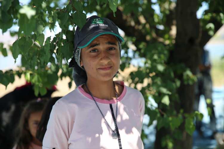 <p>Şanlıurfa'dan gelen 23 yaşındaki tarım iş&ccedil;isi Zehra İzci, AA muhabirine, annesi ve kardeşleriyle &ccedil;alışmak i&ccedil;in kayısı bah&ccedil;esine geldiklerini s&ouml;yledi.</p>
