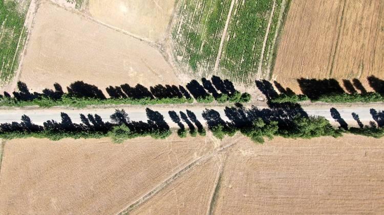 <p>Köylüler diktikleri kavak ağaçlarına gözü gibi baktı. Günümüzde yaklaşık 20 metrelik boylara ulaşan devasa ağaçlar adeta köyün girişine ağaçtan bir koridor oluşturdu. Kartpostallık görüntülerin oluştuğu köy girişi dron ile havadan görüntülendi.</p>