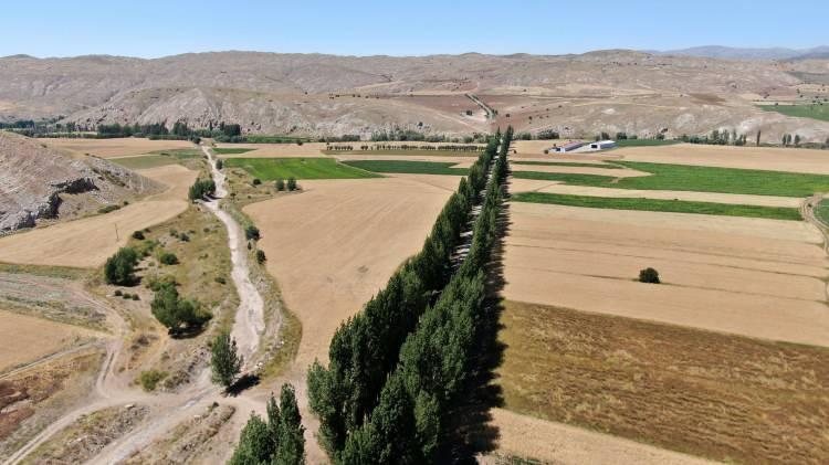 <p>Sivas’ın Zara ilçesine 23 kilometre uzaklıkta bulunan Nasır köyü ağaç koridoruyla dikkat çekiyor. </p>
<p> </p>