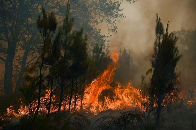 <p>HAYVANAT BAHÇESİNDE TAHLİYE</p>

<p>Yangının yayılması nedeniyle yetkililerin tavsiyeleri doğrultusunda, bölgedeki Arcachon Havzası Hayvanat Bahçesindeki tüm hayvanların kısa süre içerisinde tahliye edileceği belirtildi.</p>

<p> </p>
