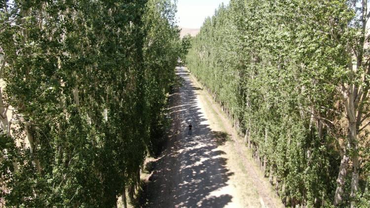 <p>Yaz, kış, sonbahar ayrı bir güzelliği var. Her mevsim ayrı bir güzelliği var. </p>
