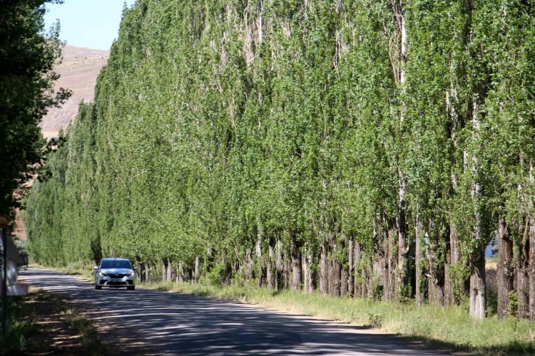 <p>Yoldan geçenler bazen merak ediyor. Köye giriş yapıyorlar, fotoğraf çekiliyorlar. </p>
