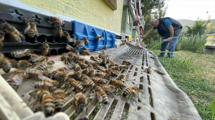 <p>Ziraat Yüksek Mühendisi Hülya Küçük de Yenice ıhlamur balı için coğrafi işaret çalışmalarında başvuru aşamasına geldiklerini dile getirdi.</p>
