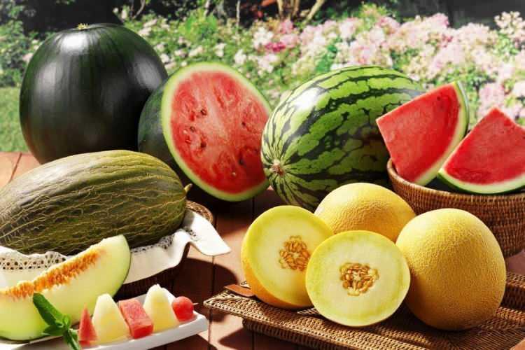 <p><strong>Diyabeti olan hastaların kavun ve karpuz tüketimi hakkında uzmanlarından mutlaka fikir almaları gerekiyor. </strong></p>