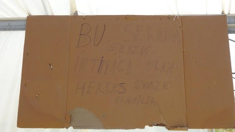 <p><strong>“Bu seraya gelen herkes bedava sebze alabilir”</strong></p>
<p>Allah rızası için bu işi yaptığını belirten Mecit Büyüksu, “Ben bu serayı 10 sene önce yaptım. Serada salatalık, domates, biber, kabak, maydanoz, dereotu, soğan ve fasulye gibi sebzeleri yetiştirerek, Allah rızası için ihtiyacı olan herkese ücretsiz veriyoruz.</p>