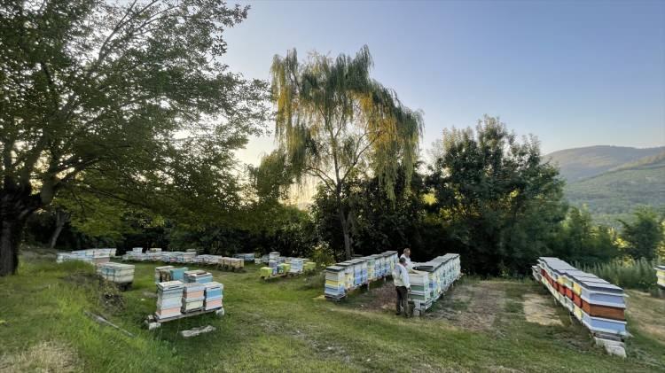 <p>Küçük, Yenice ıhlamur balının keskin ve aromatik tadı olduğunu belirterek "Bunu gümüşi ıhlamurdan alıyor. Kolay kristalize olmayan, parlak sarı renkli, tüketicilerin çok rağbet gösterdiği değerli bir bal. Pazarlama açısından da değerli. Artırılması için her türlü desteği veriyoruz." dedi.</p>
