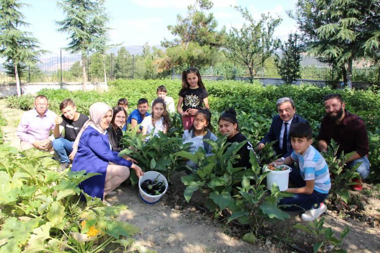<p>Araştırmalar yapan genç öğretmen, sebzelerine deneysel olarak kalsiyum desteği için süt ve toz maya verilmesiyle ürün verimliliğini artırmayı hedefliyor.</p>
