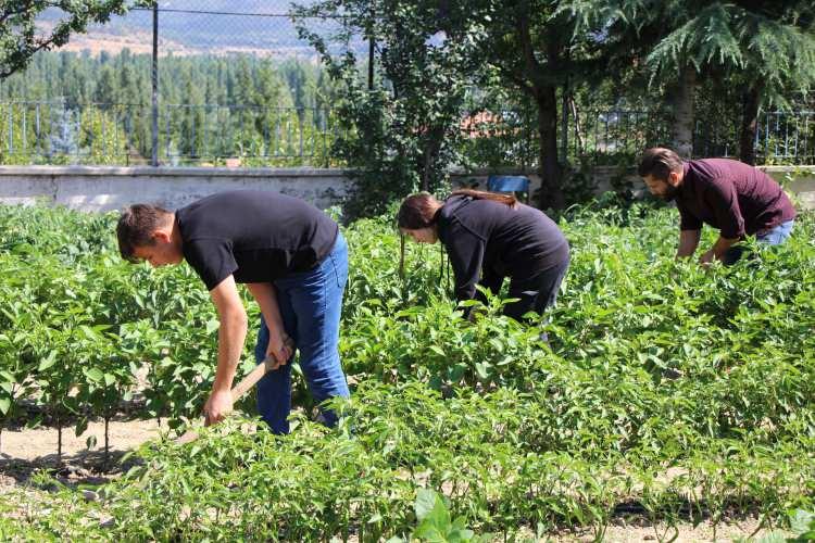<p>Öğrencileri Hilal Nur Gök ile Mehmet Emin Elmacı da öğretmenleri ve arkadaşlarıyla birlikte yaz tatilinde bahçede çalışarak sebzelerin üretimini öğretmekten mutluluk duyduklarını söylediler.</p>