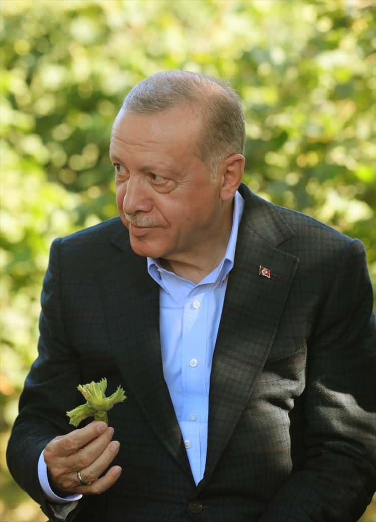 <p>Ordu’nun Gülyalı ilçesinde bulunan Ordu-Giresun Havalimanı'na indikten sonra yol üzerinde bir fındık bahçesini ziyaret eden Cumhurbaşkanı Erdoğan, burada biraz dinlendi.</p>