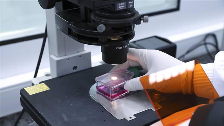 <p>Lewis, ABD'de 2 bin 316, Almanya'da 2 bin 268, İngiltere'de 2 bin 137, Fransa'da 1453, Hollanda'da ise 712 vaka bulunduğu bilgisini paylaştı.</p>

<p>&nbsp;</p>
