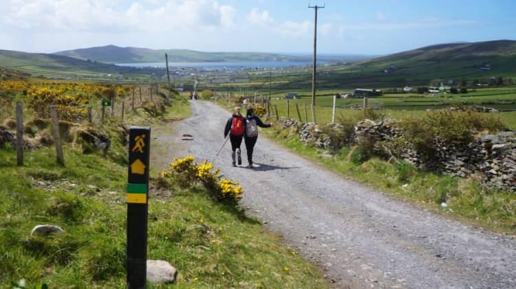 <p>Dingle Yolu, İrlanda<br />
 </p>
