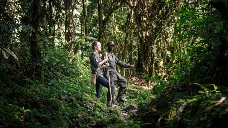 <p>Bwindi Geçilmez Ormanı, Uganda<br />
 </p>
