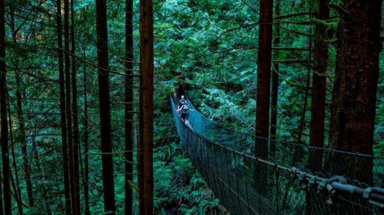 <p>Batı Kıyısı Yolu, Vancouver Adası<br />
 </p>
