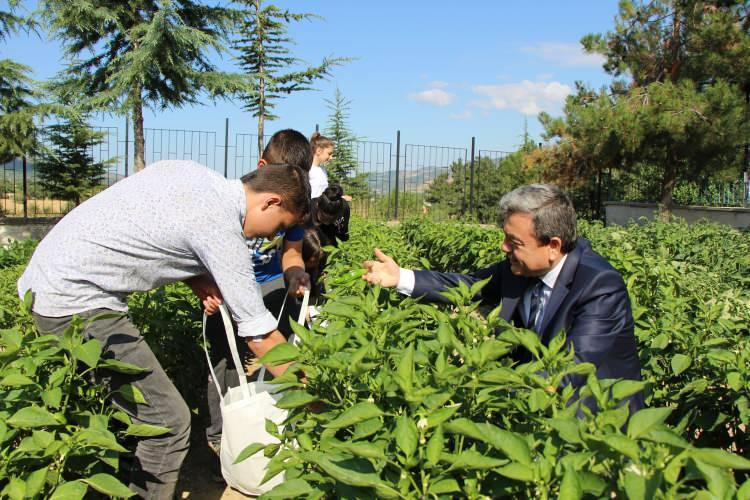 <p>Aklımıza gelen her şeyi deneysel olarak kullanmaya çalışıyoruz. Süt, toz maya ve kömür artığı kullanarak sebzelerin verimli gelişimini gördük” dedi.</p>