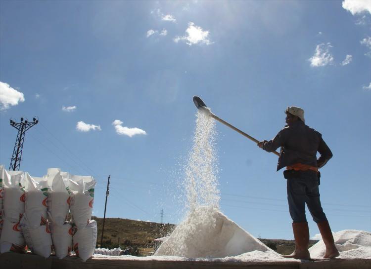 <p>Sivas'ın Zara ilçesine bağlı Tuzlagözü köyünde üretilen kaynak tuzunun toplanmasına başlandı.</p>
