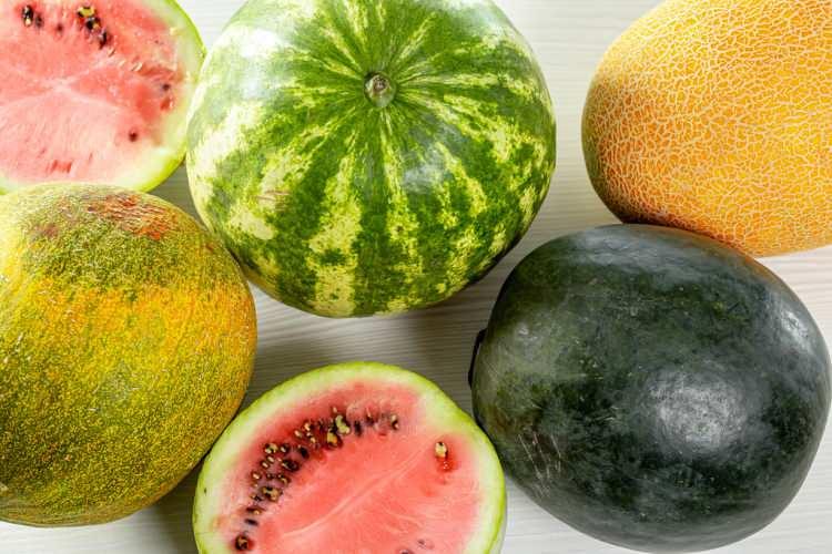 <p><strong>Bu besinler C vitamini bakımından zengin olduğundan bağışıklığı da güçlü tutarak hastalıklar akaşrı vücudun direncini artırır. </strong></p>