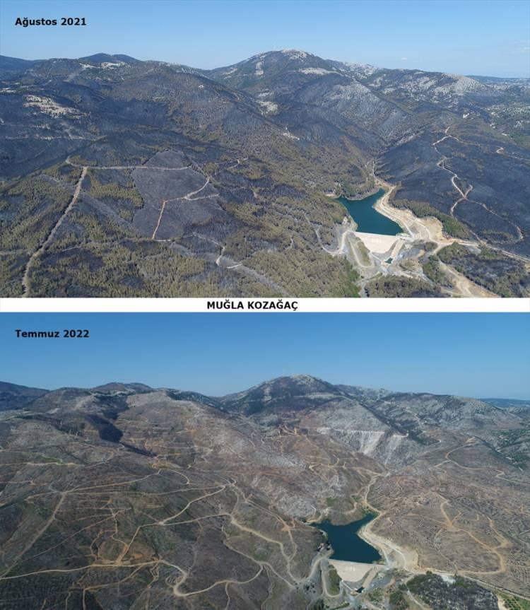 <p>Muğla’da son olarak Köyceğiz yangınının 12 Ağustos’ta kontrol altına alınmasıyla büyük yangınlar süreci sonlandırıldı. Yaklaşık 60 bin hektarlık alanda etkili olan bu yangınlarda 52 bin 20 hektar ormanlık alan zarar gördü. Yangınların hemen ardından yanan alanların tekrar yeşertilmesi için çalışmalara başlandı.</p>
