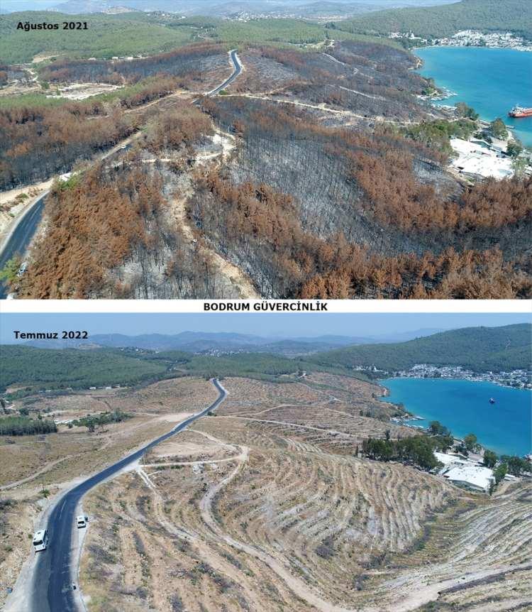 <p>Yanan ağaçların sahalardan alınmasının ardından ağaçlandırma ve silvikültürel (orman yetiştirme) çalışmaların yapıldığı aşamaya geçildi. 29 bin 786 hektarlık bölümde doğal gençleştirme yöntemi uygulandı.</p>

