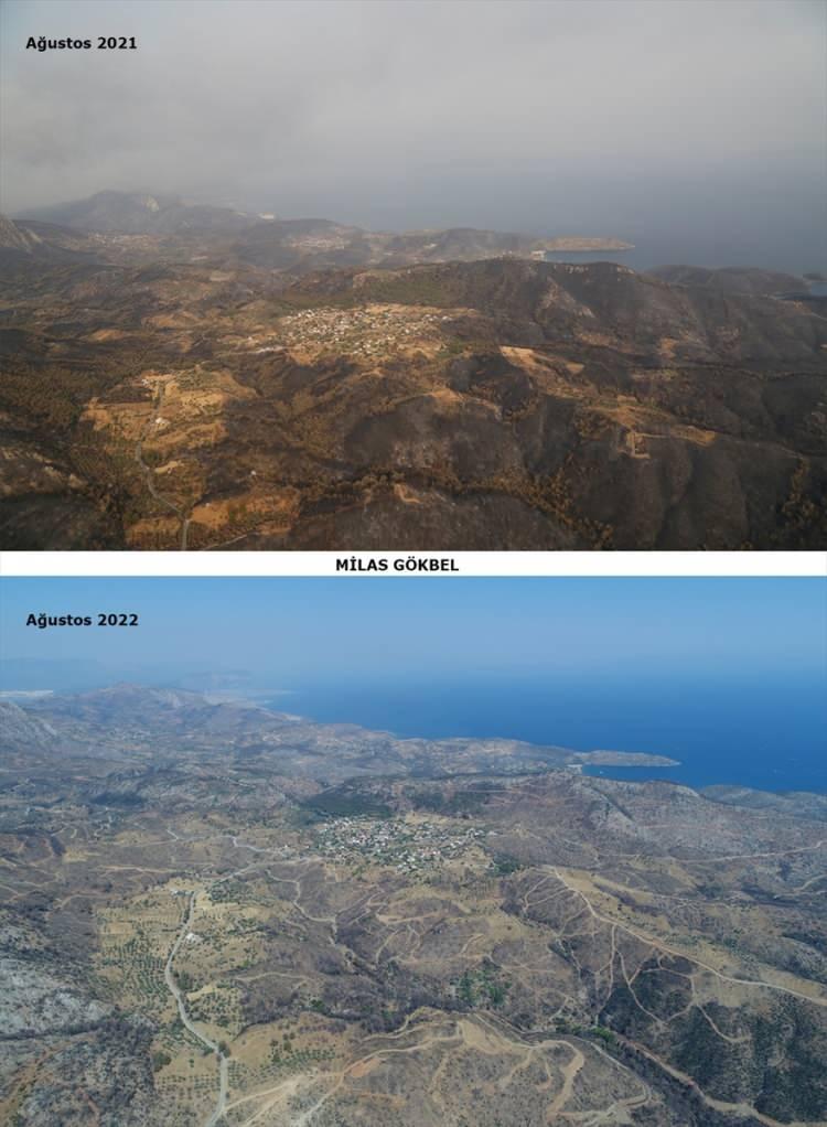 <p>Muğla Orman Bölge Müdürü Yasin Yaprak, konuya ilişkin yaptığı açıklamada, yanan alanlardaki çalışmaların büyük oranda tamamlandığını bildirdi.</p>