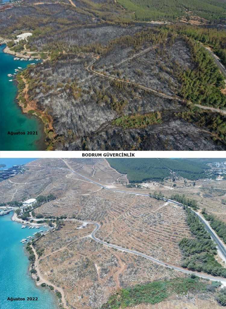 <p>Dikilen fidanların büyüdüğünü, serptikleri tohumların da çimlendiğini aktaran Yaprak, "Bir yıl önce yanan alanlar küllerinden tekrar doğuyor. Şeflerimiz, muhafaza memurlarımız ve işçilerimiz sürekli sahada. Çalışmaları ve süreci yerinde takip ediyoruz. Bu anlamda ilk olarak yangınların söndürülme aşamasında hep yanımızda olan tüm kamu kurum ve kuruluşlarımıza, özellikle gönüllü vatandaşlarımıza ve emeği geçen tüm çalışma arkadaşlarıma teşekkür ediyorum." ifadesini kullandı.</p>