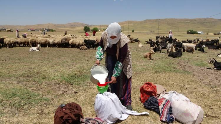 <p>“Hava çok sıcak ama mecburen hayvanları sağmamız lazım”</p>
