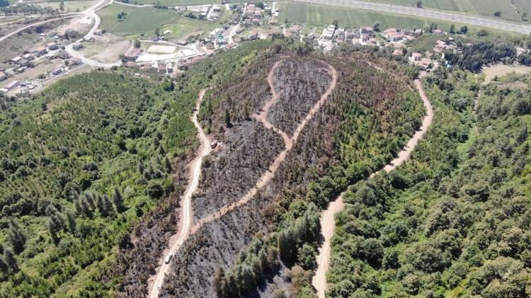 <p>Yangına 2 uçak, 2 helikopter, 10 itfaiye, 26 araç ve 210 personel müdahale etti. Yaklaşık 3 saat süren çalışmalar neticesinde yangın kontrol altına alındı.</p>