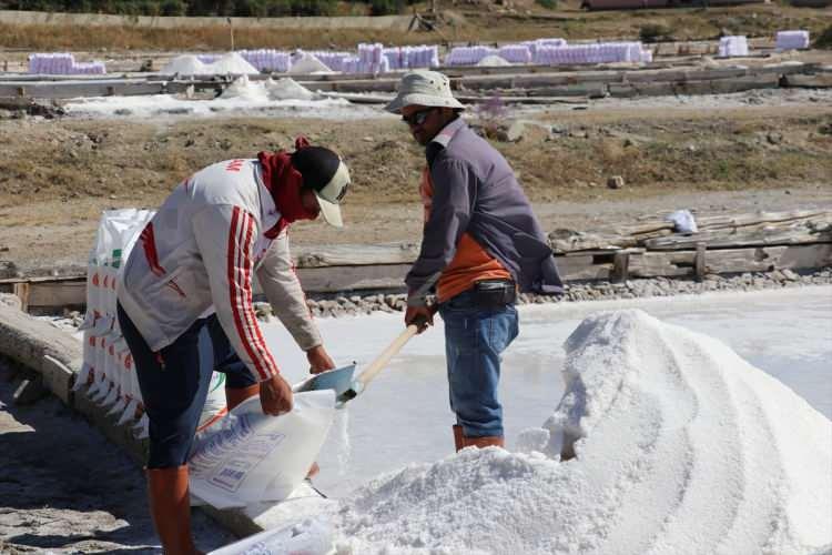 <p>Bu yıl sezon 15 gün geç başladı. Biz herhangi bir havuz kapatma veya alttan ısıtma sistemi yapmıyoruz çünkü bunlar tuzun doğallığını bozuyor. (Üretim) İklime bağlı ne kadar yaz ve rüzgar, o kadar çok tuz oluyor."</p>
