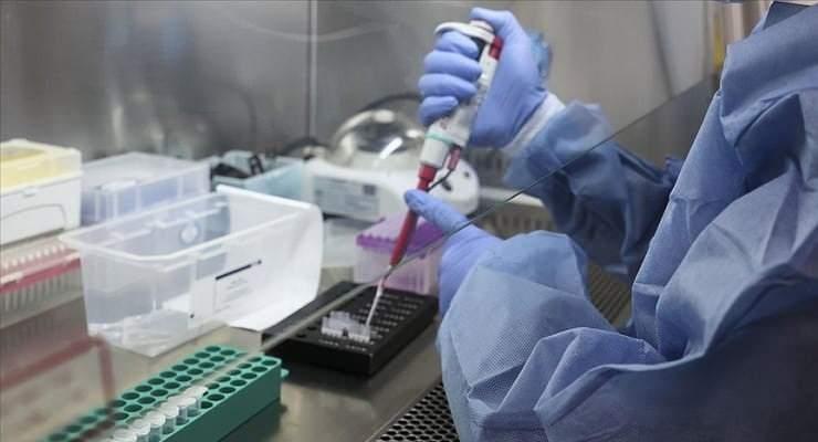 <p>Klinik tablonun ateş, yoğun baş ağrısı, lenf düğümlerinin şişmesi, sırt ağrısı, kas ağrıları ve yoğun halsizlikle başladığı belirtilen rehberde, hastalığın genellikle 2-4 hafta süren semptomları bulunduğu kaydedildi.</p>
<p> </p>