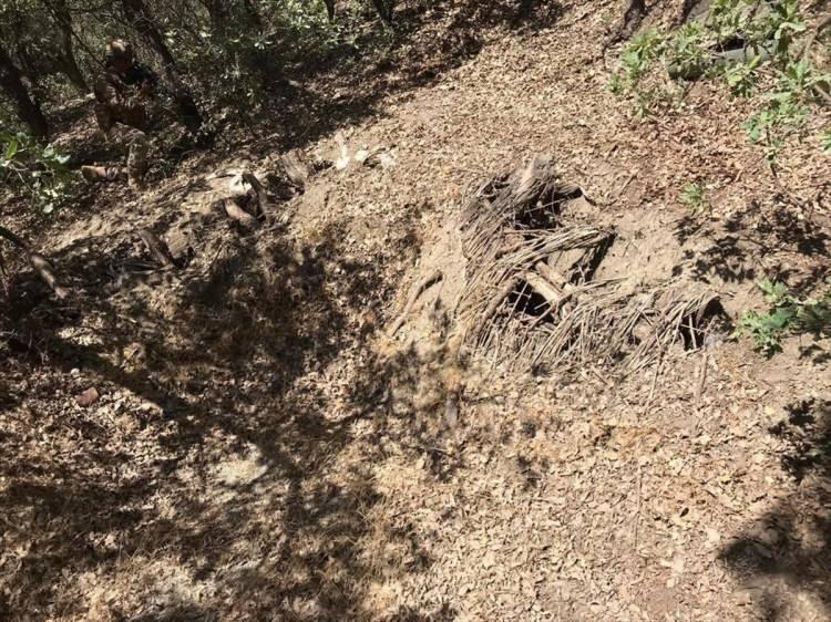 <p>Şırnak Jandarma Bölge Komutanlığı koordinesinde düzenlenen operasyonda, Çakırsöğüt Jandarma Komando Tugay Komutanlığı, Şırnak ve Siirt İl Jandarma Komutanlıklarına bağlı jandarma komando, jandarma özel harekat (JÖH) ve güvenlik korucu timi, Şırnak ile Siirt İl Emniyet müdürlüklerine bağlı polis özel harekat (PÖH) timlerinden oluşan bin 377 personel, 106 operasyonel tim görev alıyor.</p>
