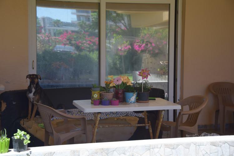 <p>Yasemin A.&rsquo;nın 4 yıldır sitede giriş kat dairesinde yaşadığını dile getiren Toker, &ldquo;İlk geldiğinde annesiyle birlikte, 'annemle birlikte oturuyoruz' dedi. Kontrat yaptık. Ne &ccedil;ocuk varmış ne de &ccedil;ocukla alakalı bilgi vermiş. O zamandan beri &ccedil;ocuğa ablası bakıyormuş, s&ouml;ylediği o. Ondan sonrasında nasıl bir kopukluk oldu, ne yaşandı bilmiyorum ama &ccedil;ocuktan hi&ccedil;bir zaman haberimiz olmadı. Basın buraya gelene kadar hi&ccedil;birimizin &ccedil;ocuktan haberi yoktu&rdquo; ifadelerini kullandı.</p>
