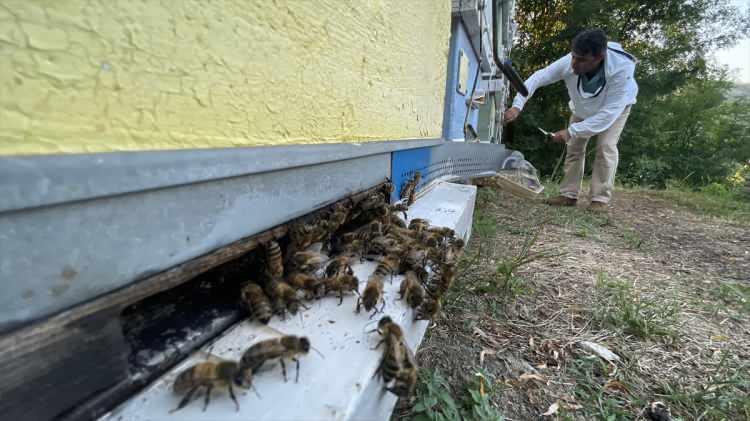 <p>Özellikle Yenice'de ıhlamur balı üzerine çalışmalar yaptıklarını ve coğrafi işaret için bir ekip kurduklarını aktaran Ayvalık, "İlçede Kaymakamlık, esnaf odası ve sivil toplum örgütleri, 3 yıldır çalışma başlatmış. Bilimsel çalışmalar yapılmış, yerelde coğrafi işaret alınsın görüşleri bildirilmiş. Bizler de bu çalışmaya ortak olup nihayete erdirmek istedik. Coğrafi işaret çalışmamızda sona yaklaşıyoruz. Bütün çalışmaları tamamladık. Bir logo belirleyerek, bu logoyu gördüğümüz zaman 'Evet bu Yenice ıhlamur balıdır.' diyebileceğimiz güzel çalışma olsun arzu ediyoruz." diye konuştu.</p>

<p> </p>
