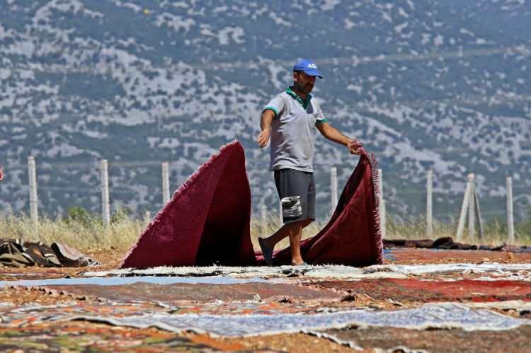 <p>Yüzlerce dönümlük araziye serilen halılar görsel bir şölen de oluşturuyor. Sıralı bir vaziyette aralarında belirli boşluklarla serilen halıların yağmurdan etkilenmemesi ve çalınmaması için de 24 saat nöbet tutuluyor. Tüm yaz boyunca tarlada tutulan halılar, işletmeye ait güvenlik kameralarınca izleniyor, arazideki çalışanlar tarafından da saat başı etrafı kolaçan ediliyor.</p>