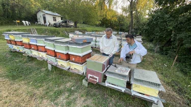 <p>Ayvalık, Türkiye'de en yoğun ıhlamur ormanlarının Yenice ilçesinde olduğunu sözlerine ekledi.</p>

<p> </p>

<p> </p>

