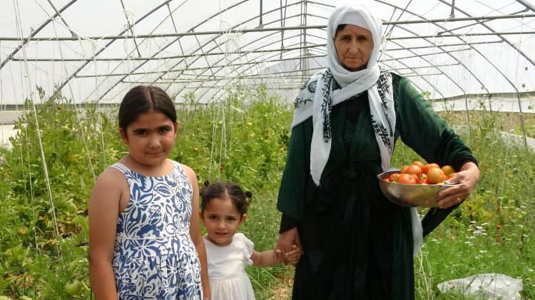 <p><strong>“Şu dönemde kimsenin alamadığı sebzeyi, bu serada bedava almak mutluluk vericidir”</strong></p>
<p>Örnek davranışından dolayı Mecit Büyüksu’yu tebrik eden Hakkari Tüketiciler Birliği Derneği Başkanı Perviz Geçirgen, “Mecit Büyüksu 10 yıldır kendi imkanlarıyla seracılık yapıyor. </p>