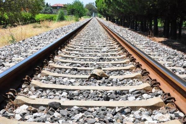 <p>Kaplumbağa fazla ısı aldığında kırmızı olan kanı simsiyah olur ve kan kusa kusa ölür. Kaplumbağaları ölüme gönderdiklerini bilseler, çiftçiler de demir yoluna bırakmaz" dedi.</p>