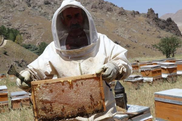 <p>Van Arıcılar Birliği Başkanı Halil Tandoğan, son 20 yılın en verimli bal sezonunu yaşadıklarını söyledi. Verimdeki artışın yaklaşık yüzde 200 seviyesinde olduğunu ifade eden Tandoğan, şöyle konuştu:</p>

<div> </div>

<div> "Geçen yıl küresel ısınmadan dolayı çok fazla etkilenmiştik. Hatta son 40 yılın en kurak ve verimsiz yılı geçmişti. </div>
