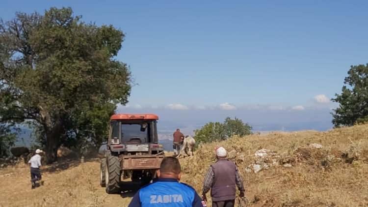 <p>Hayvanı kaçan Kocabıyık, danayı hafta sonu oğlunun sünnet düğününde keseceğini ifade etti.</p>