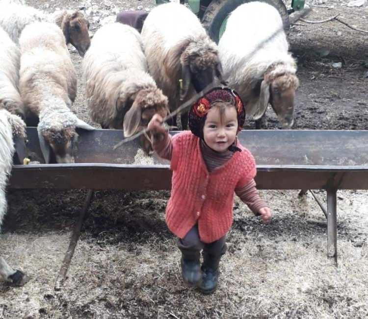 <p>Müslüme'nin cenazesi, Gülnar Devlet Hastanesi'ne kaldırıldı, buradan da otopsi için Mersin Üniversitesi Tıp Fakültesi Adli Tıp Birimi'ne götürüldü. </p>
