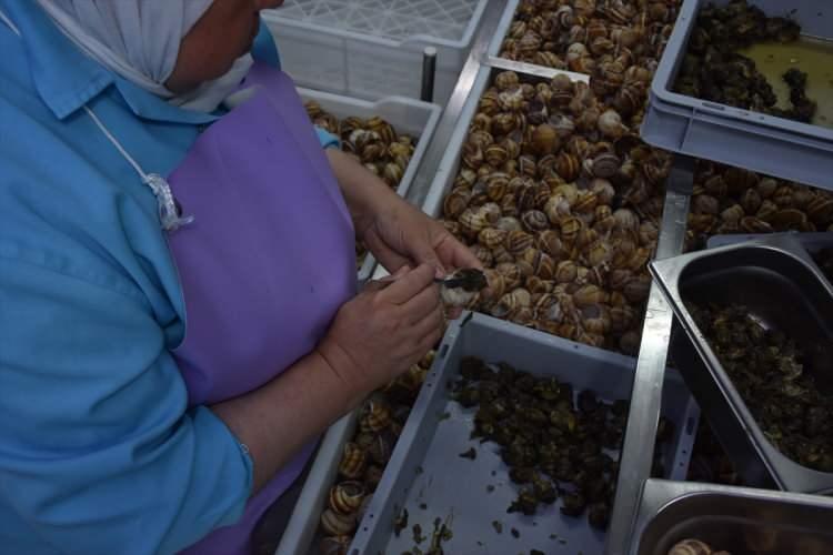 <p>Firmada şu anda çalışan 70 kişiden sadece 4'ünün erkek olduğuna değinen Akın, "Geri kalan personelimizin tamamı kadın. Kadınlarla çalışmak çok zevkli. </p>
