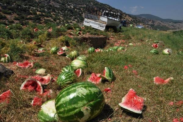 <p>Yaralı baba- oğul, sağlık ekiplerince İslahiye Devlet Hastanesi'ne kaldırılarak, tedaviye alındı. </p>