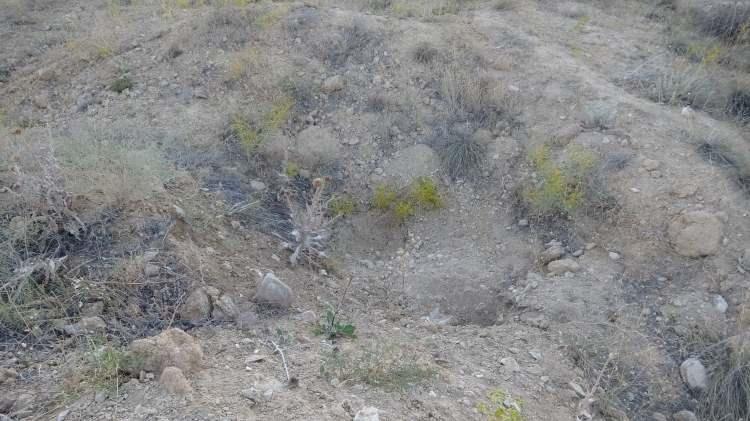 <p>Yüzeyinde çok sayıda seramik parçasının da bulunduğu höyük onlarca define avcısı tarafından yapılan kaçak kazılar nedeniyle adeta savaş alanına döndü.</p>
