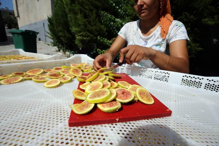 <p>Ürünleri her gün tarladan taze taze topladıklarını vurgulayan Korkut, "Bunu bayanlar yapıyor çünkü çok ince işçilik ve hijyen gerektiriyor. </p>