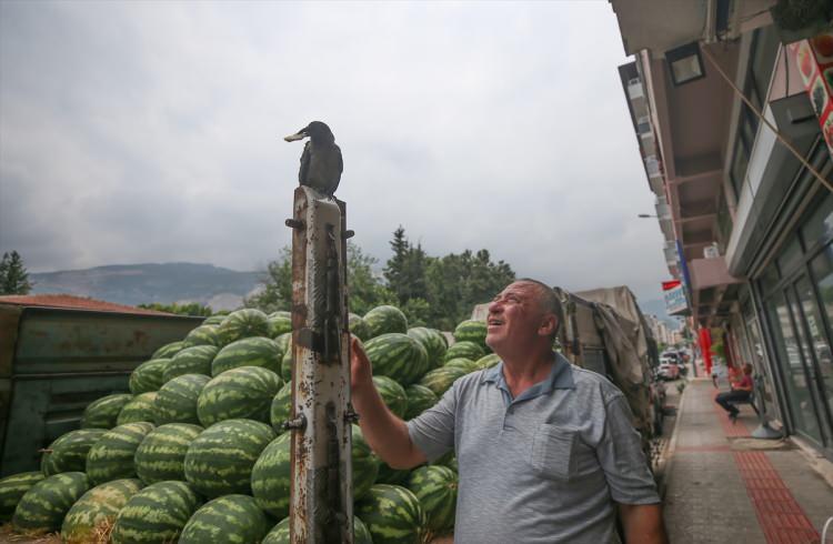 <p>Arada bir acıkırsa 'gak gak' diyerek yemek istiyor. Gördüğünüz gibi elimizle besliyoruz. Gözümüzü oymadı ama dükkana zararı da oldu. Post cihazının üzerine pislemiş ve bozmuş. 1600 lira verip yaptırdık. </p>